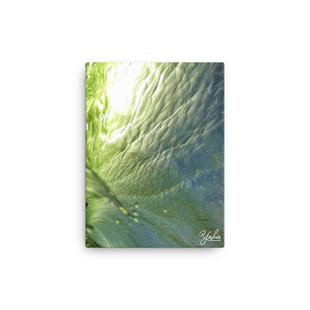 "Cutain" Canvas
